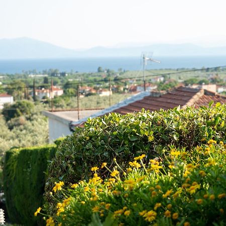 Mirovili House Kato Lekhonia ภายนอก รูปภาพ
