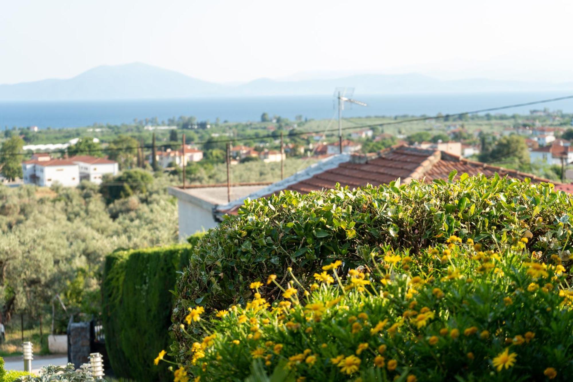 Mirovili House Kato Lekhonia ภายนอก รูปภาพ